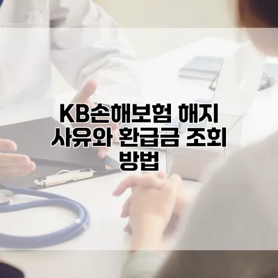 KB손해보험 해지 사유와 환급금 조회 방법