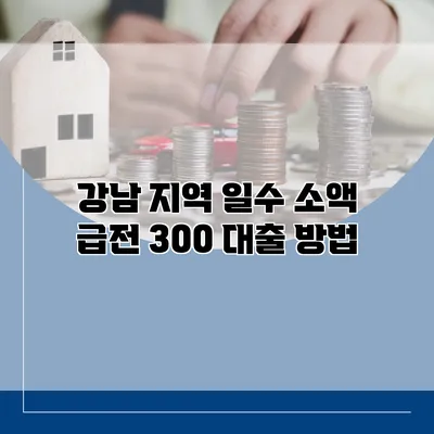 강남 지역 일수 소액 급전 300 대출 방법