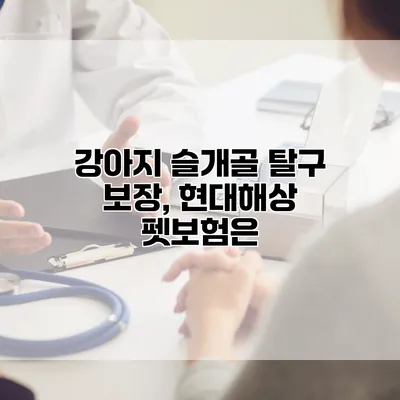 강아지 슬개골 탈구 보장, 현대해상 펫보험은?