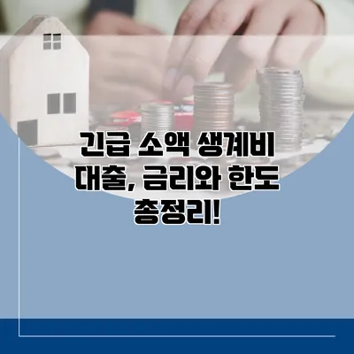 긴급 소액 생계비 대출, 금리와 한도 총정리!