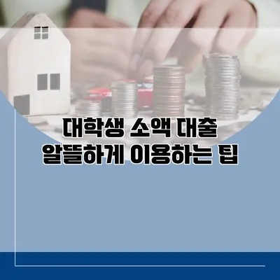 대학생 소액 대출 알뜰하게 이용하는 팁