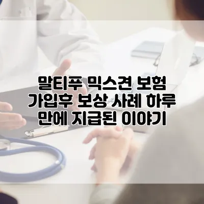 말티푸 믹스견 보험 가입후 보상 사례 하루 만에 지급된 이야기