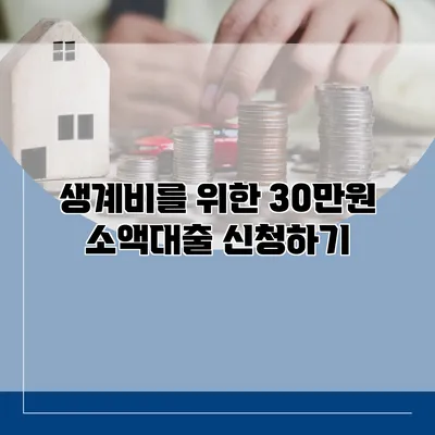생계비를 위한 30만원 소액대출 신청하기
