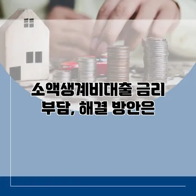 소액생계비대출 금리 부담, 해결 방안은?