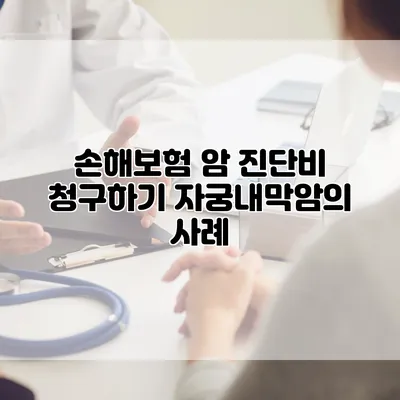 손해보험 암 진단비 청구하기 자궁내막암의 사례