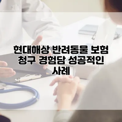 현대해상 반려동물 보험 청구 경험담 성공적인 사례