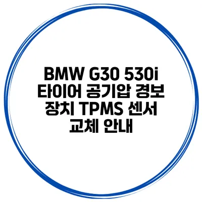 BMW G30 530i 타이어 공기압 경보 장치 TPMS 센서 교체 안내
