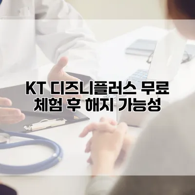 KT 디즈니플러스 무료 체험 후 해지 가능성