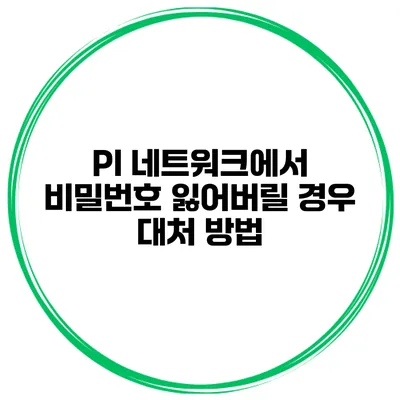 PI 네트워크에서 비밀번호 잃어버릴 경우 대처 방법