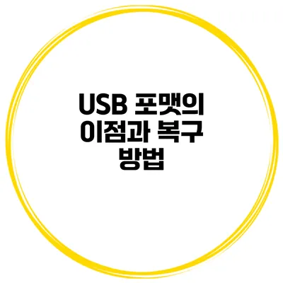 USB 포맷의 이점과 복구 방법