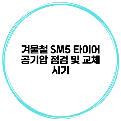 겨울철 SM5 타이어 공기압 점검 및 교체 시기