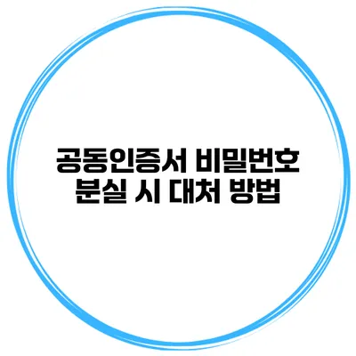공동인증서 비밀번호 분실 시 대처 방법