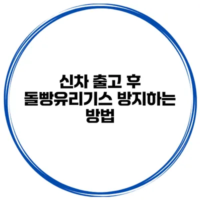 신차 출고 후 돌빵유리기스 방지하는 방법