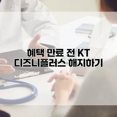 혜택 만료 전 KT 디즈니플러스 해지하기